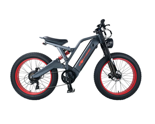 WOW5 | 750W Long Range  Fat Tire Dirt E-Bike